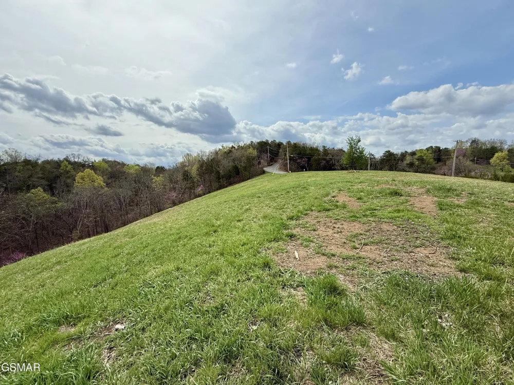 12 Ferry Hill Road Dandridge, TN 37725