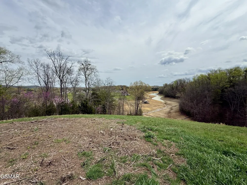 12 Ferry Hill Road Dandridge, TN 37725
