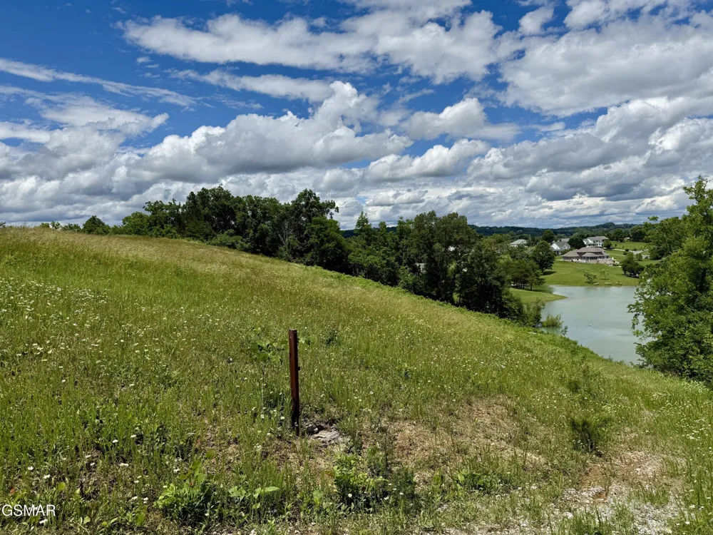 12 Ferry Hill Road Dandridge, TN 37725