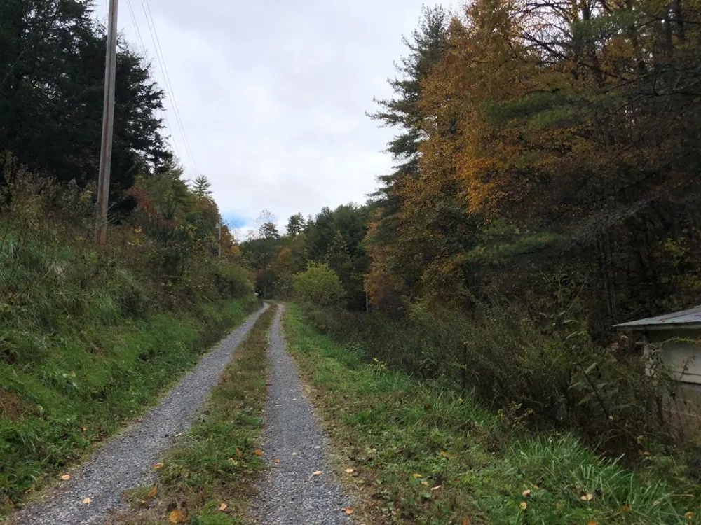410 Seay Hollow Road Del Rio, TN 37727