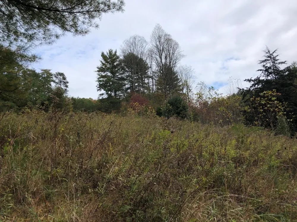 410 Seay Hollow Road Del Rio, TN 37727