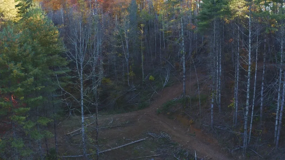 410 Seay Hollow Road Del Rio, TN 37727
