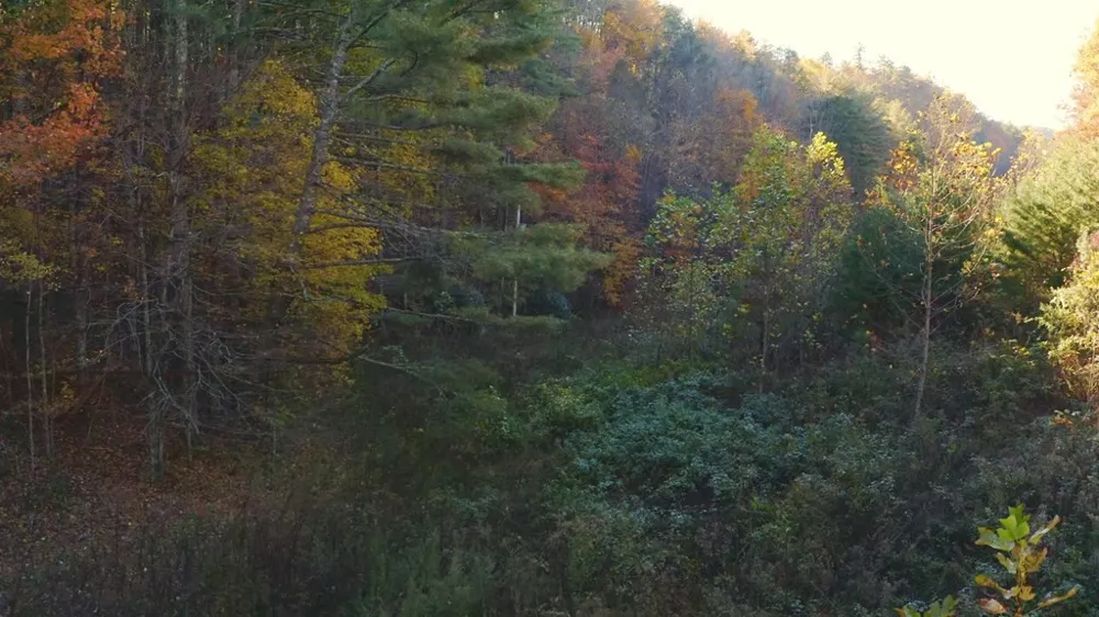 410 Seay Hollow Road Del Rio, TN 37727