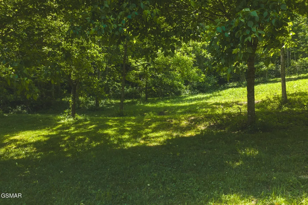 622 Earls Hollow Road Speedwell, TN 37870