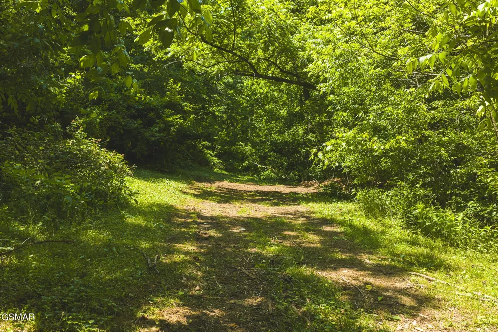 622 Earls Hollow Road Speedwell, TN 37870