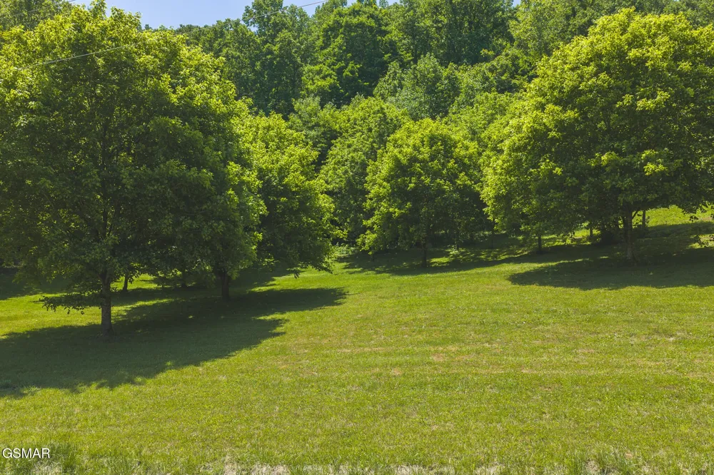 622 Earls Hollow Road Speedwell, TN 37870