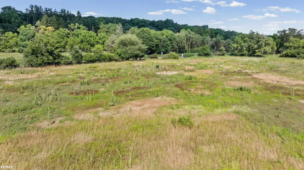 Huron River Drive Scio Township, MI 48103