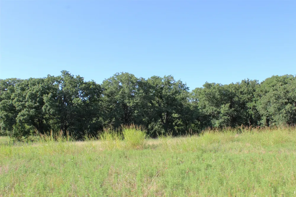 9296 Fm 1810 Chico, TX 76431