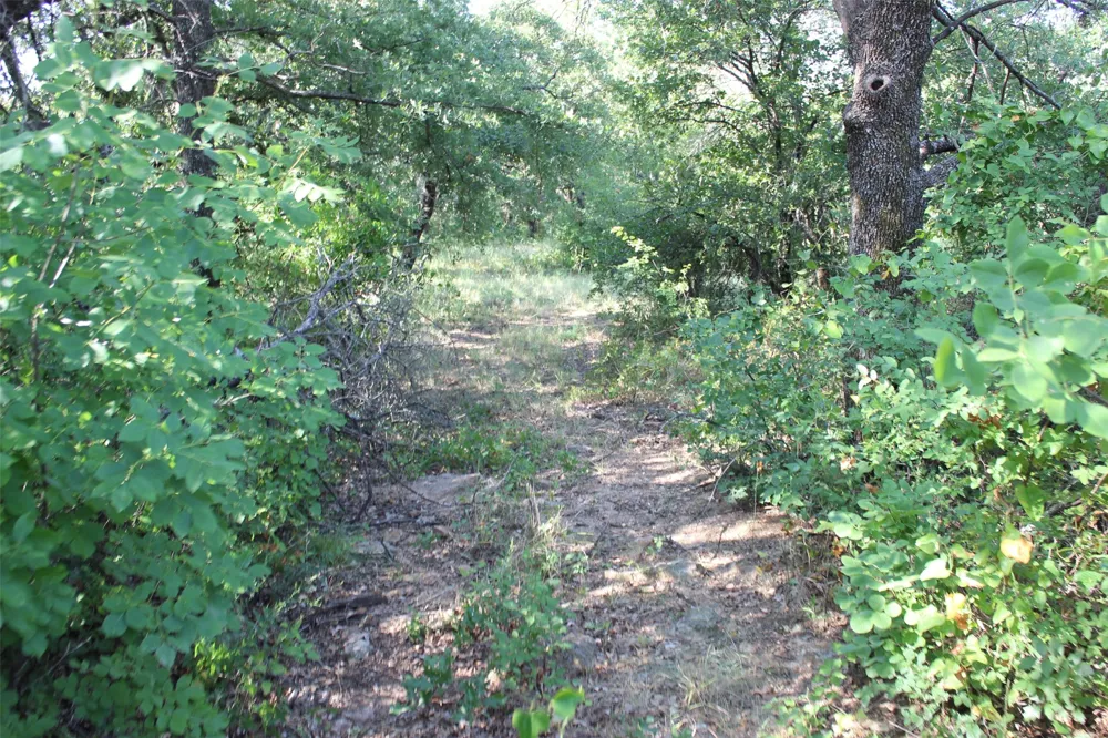 9296 Fm 1810 Chico, TX 76431