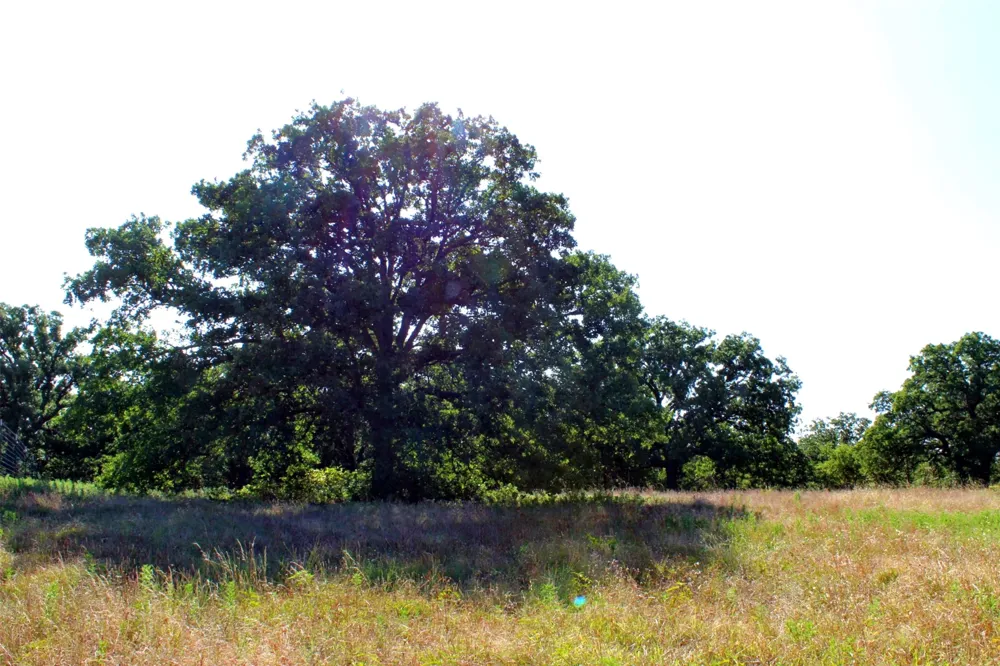 9296 Fm 1810 Chico, TX 76431