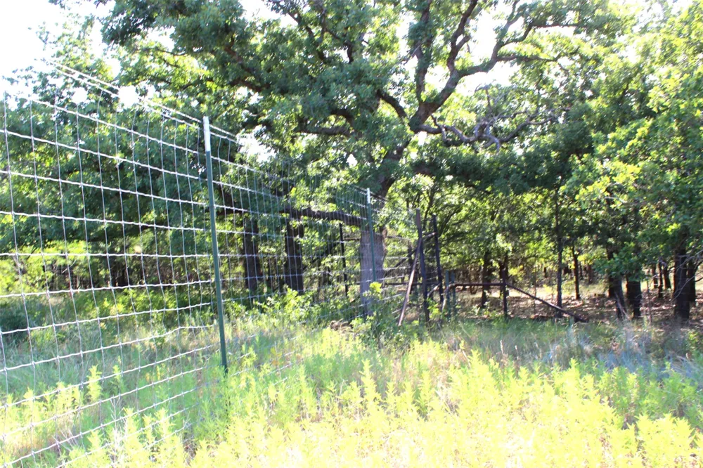 9296 Fm 1810 Chico, TX 76431