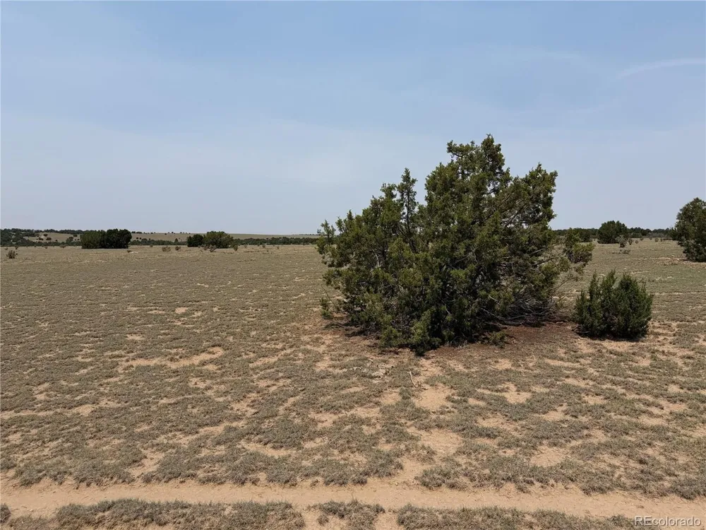 167 Tyrone Hills Ranch Walsenburg, CO 81089