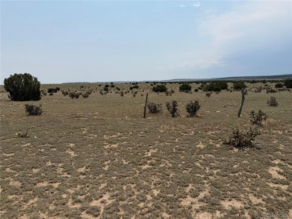 167 Tyrone Hills Ranch Walsenburg, CO 81089