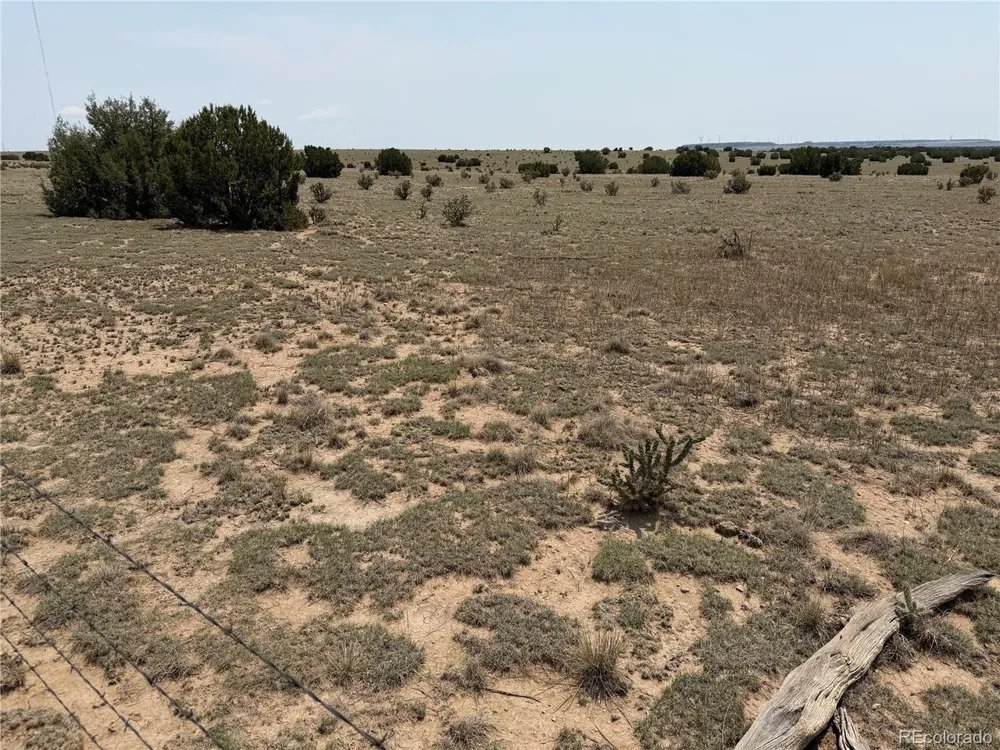 167 Tyrone Hills Ranch Walsenburg, CO 81089