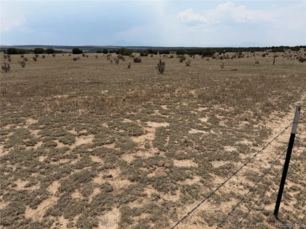 167 Tyrone Hills Ranch Walsenburg, CO 81089