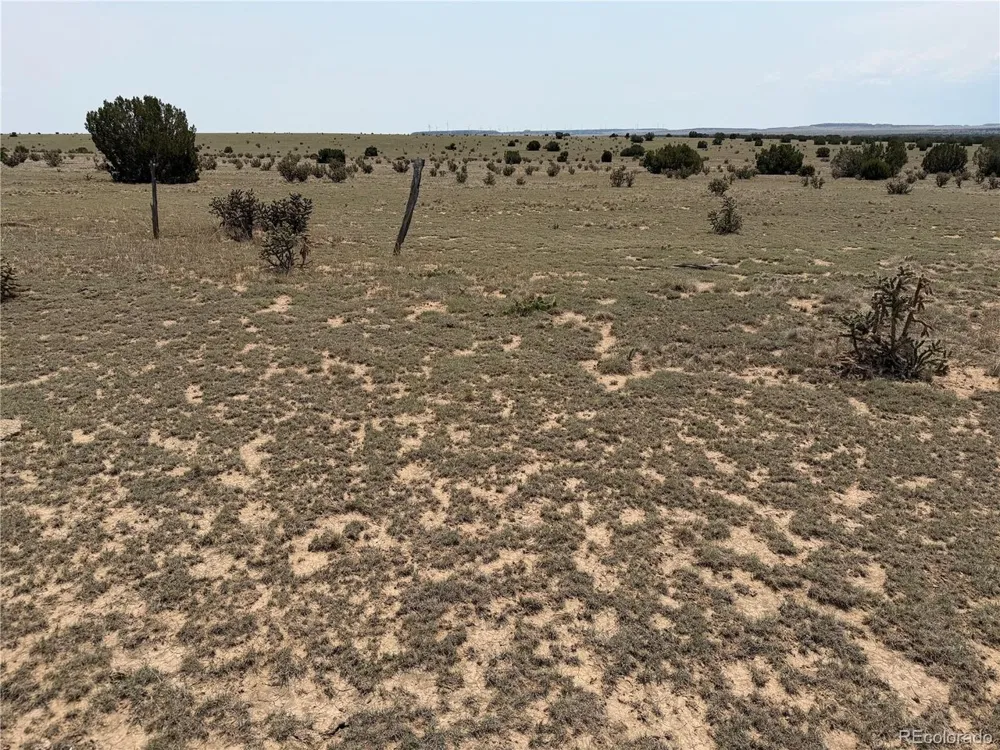 167 Tyrone Hills Ranch Walsenburg, CO 81089