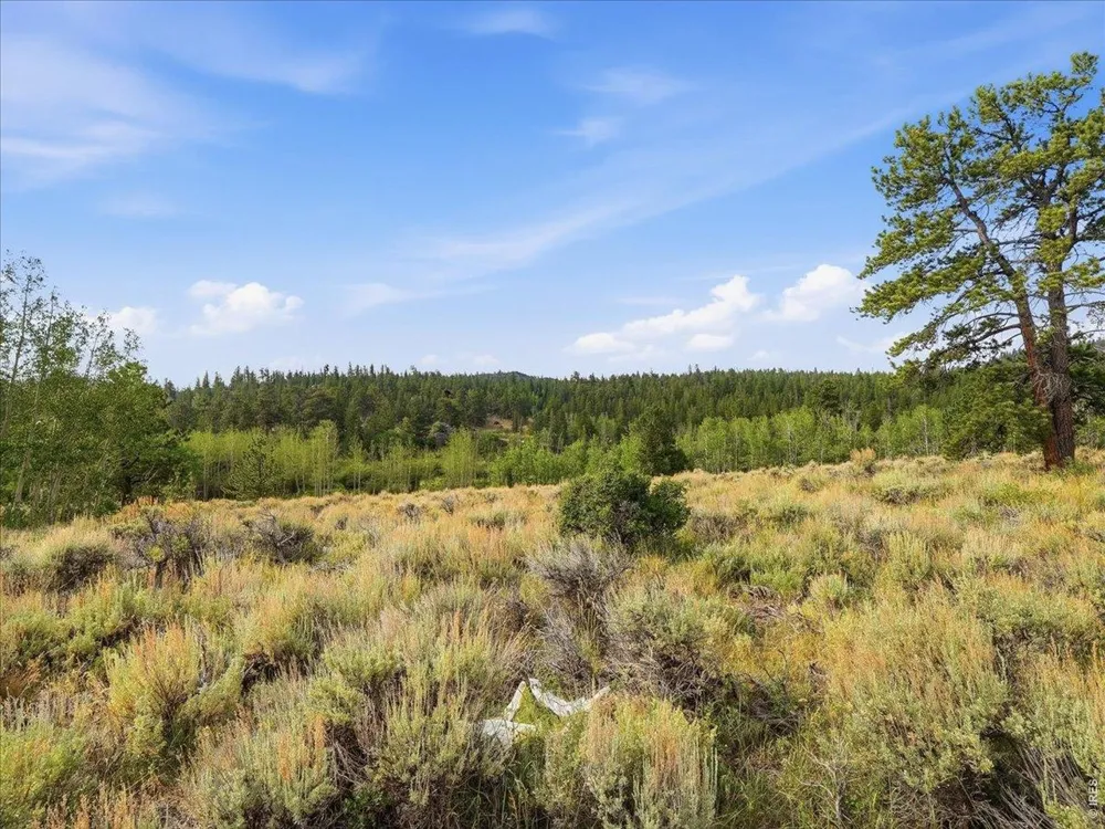 43 Chetco Court Red Feather Lakes, CO 80545