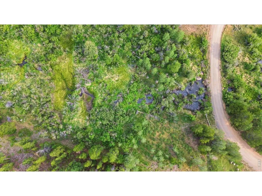 43 Chetco Court Red Feather Lakes, CO 80545