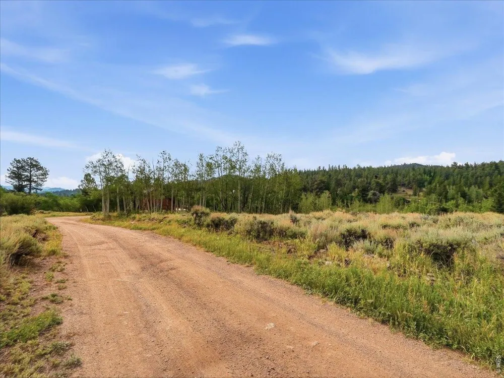 43 Chetco Court Red Feather Lakes, CO 80545