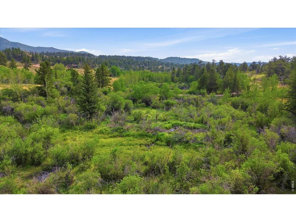 43 Chetco Court Red Feather Lakes, CO 80545