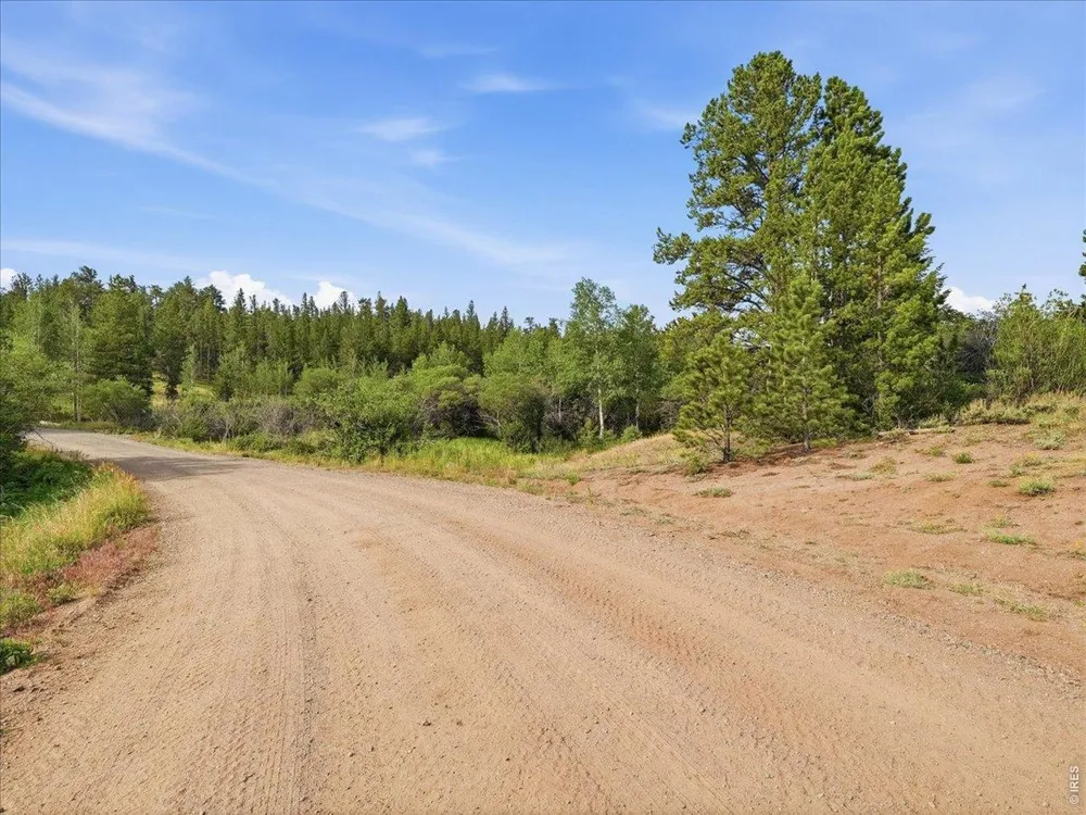 43 Chetco Court Red Feather Lakes, CO 80545