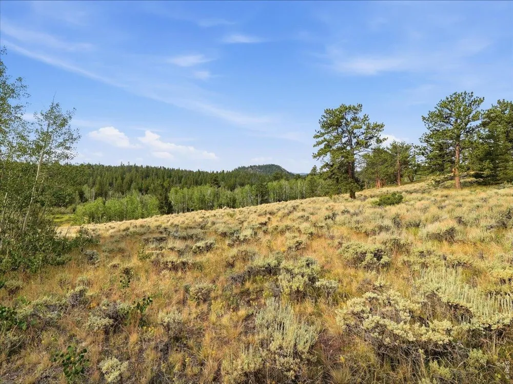 43 Chetco Court Red Feather Lakes, CO 80545