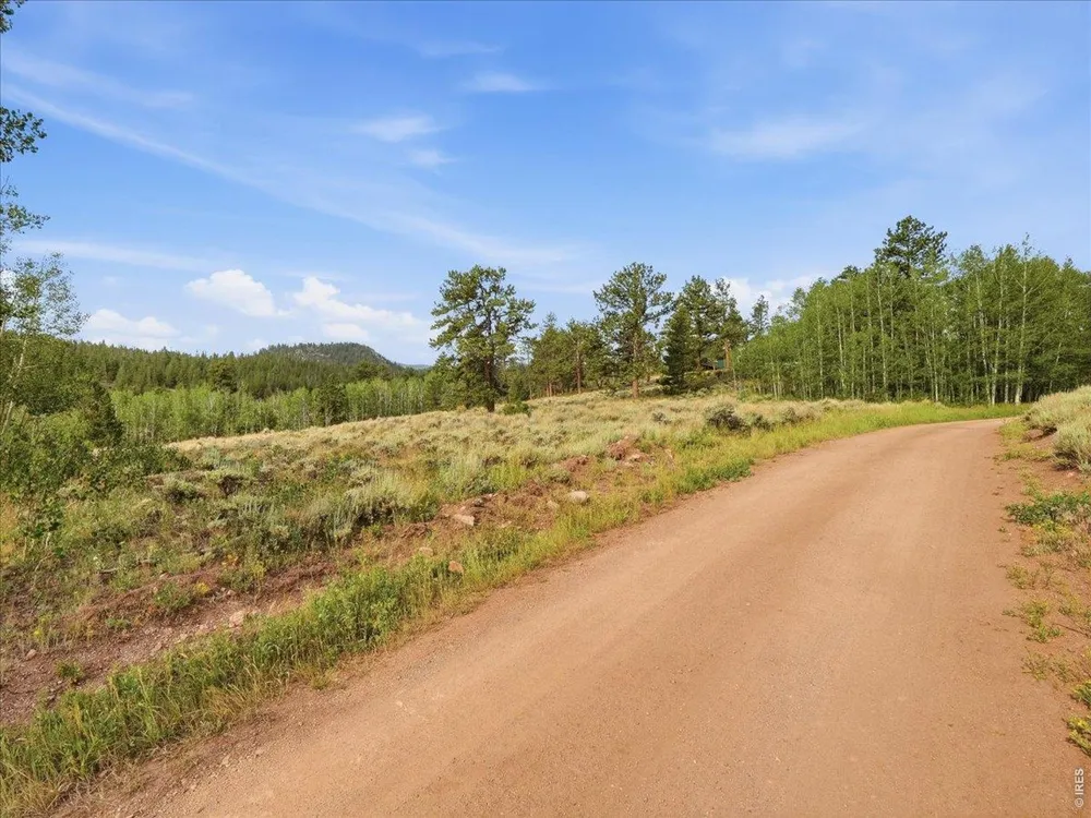 43 Chetco Court Red Feather Lakes, CO 80545