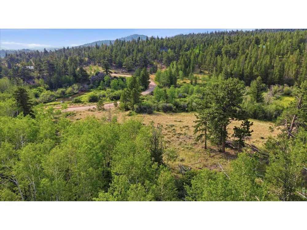 43 Chetco Court Red Feather Lakes, CO 80545