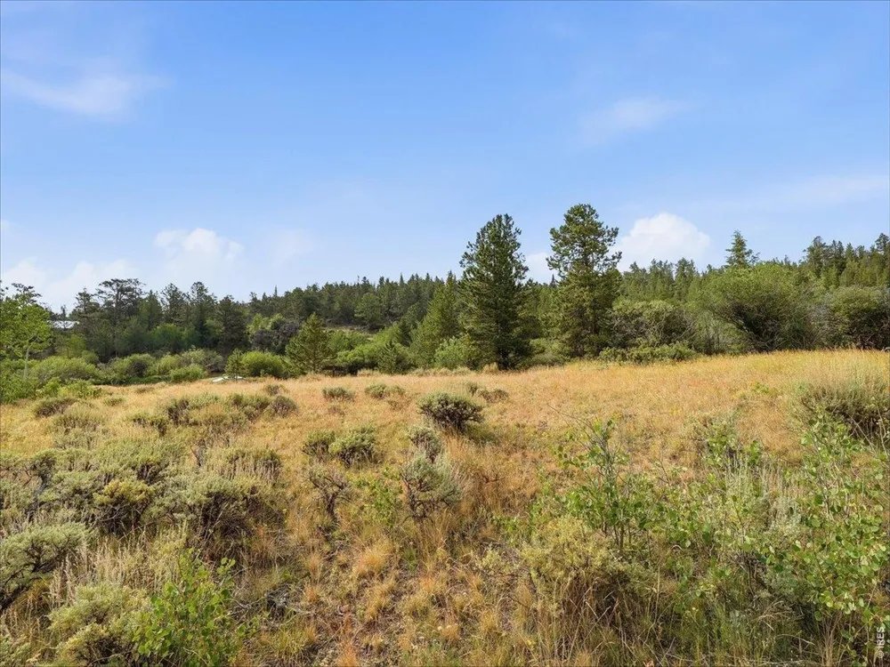 43 Chetco Court Red Feather Lakes, CO 80545