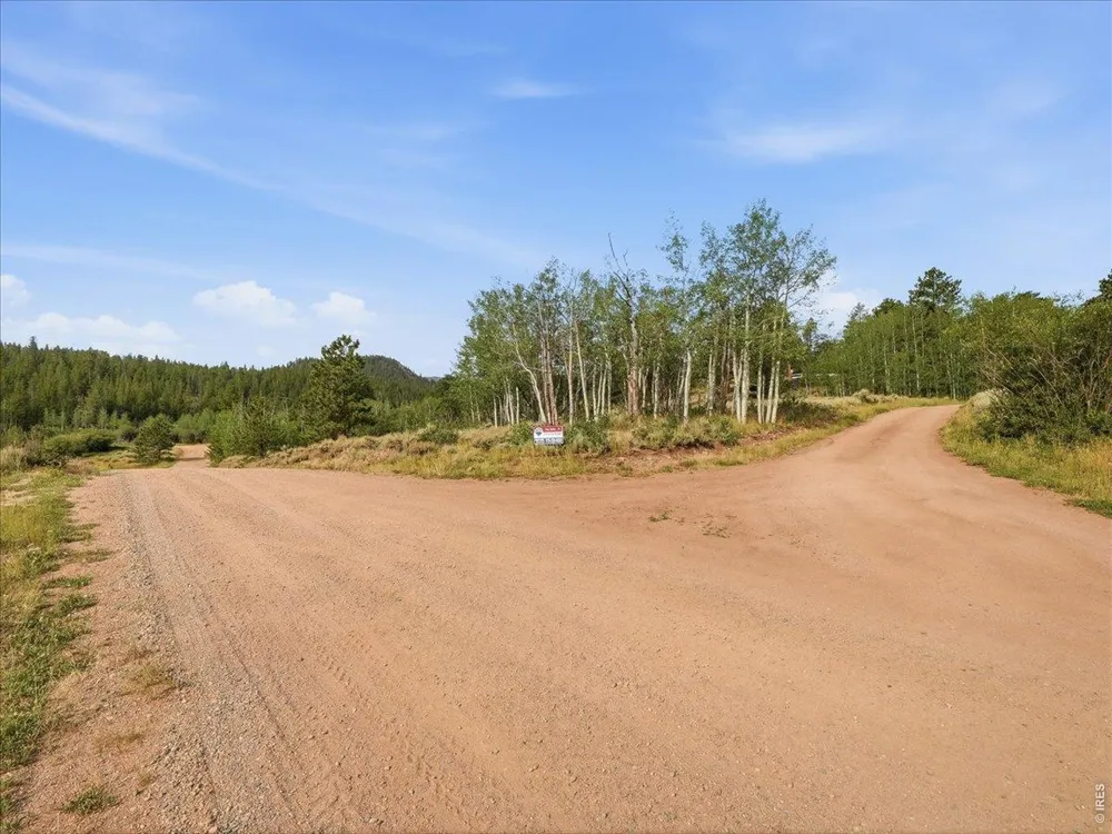 43 Chetco Court Red Feather Lakes, CO 80545
