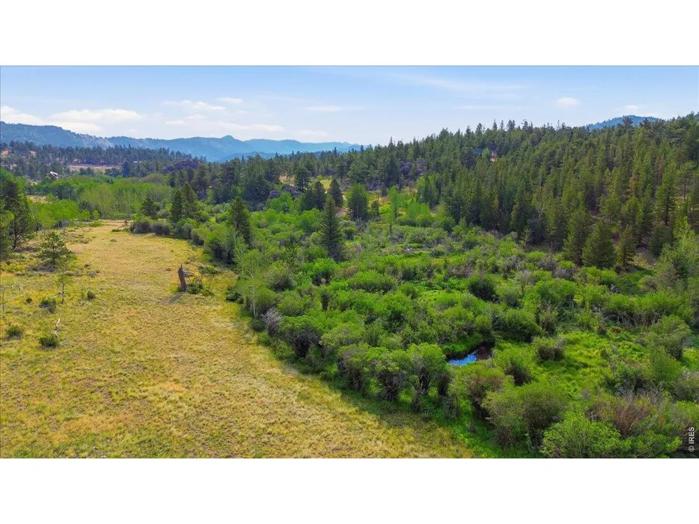 43 Chetco Court Red Feather Lakes, CO 80545