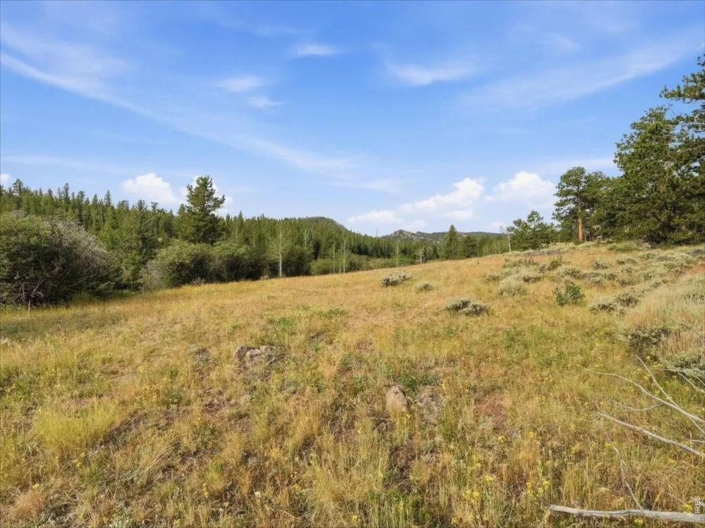 43 Chetco Court Red Feather Lakes, CO 80545
