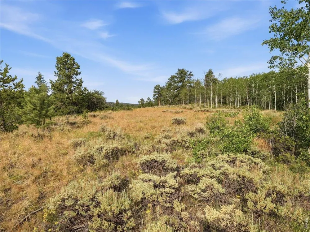 43 Chetco Court Red Feather Lakes, CO 80545