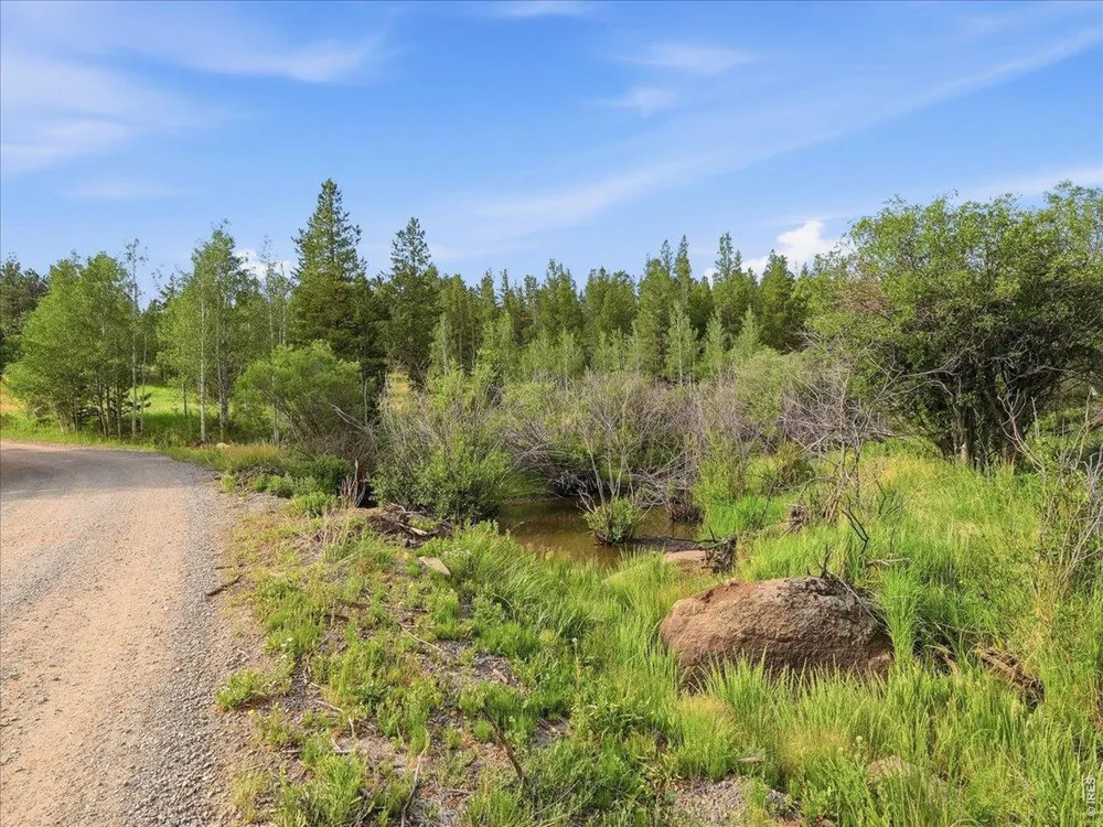 43 Chetco Court Red Feather Lakes, CO 80545