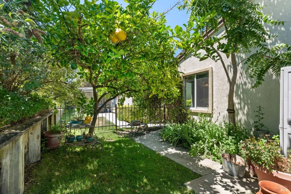 602 Summerset Drive Rio Vista, CA 94571