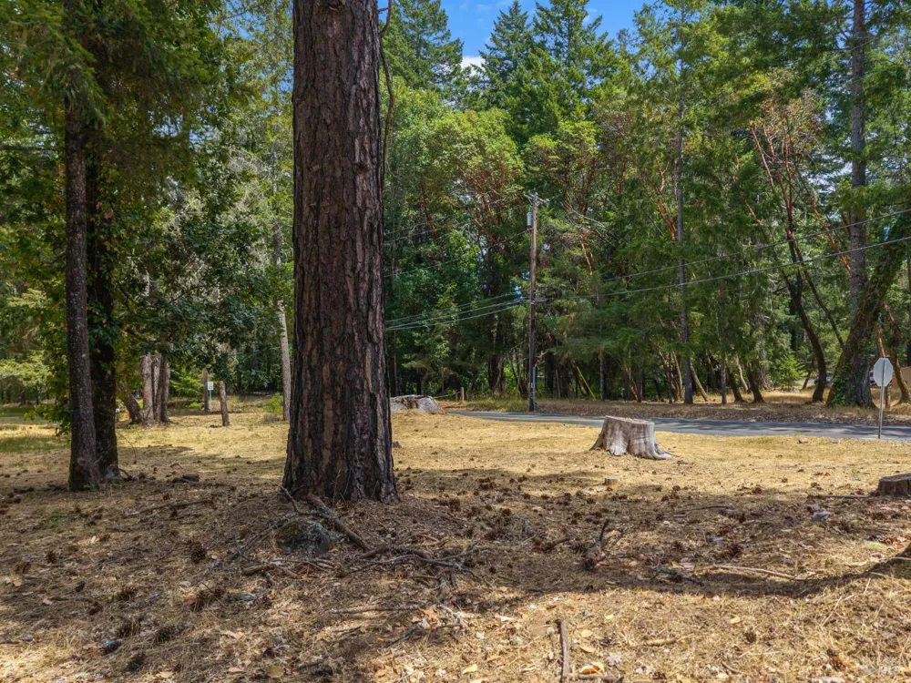 25331 Sherwood Road Willits, CA 95490