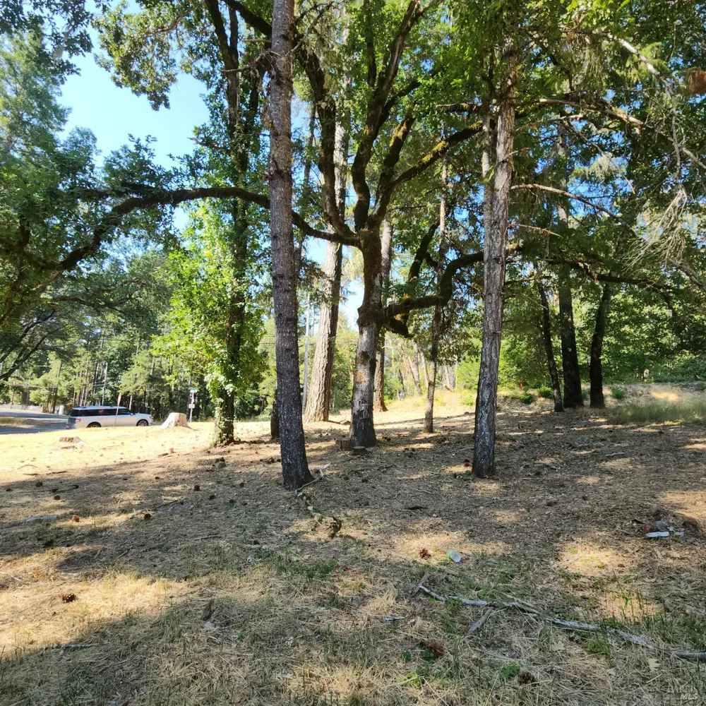 25331 Sherwood Road Willits, CA 95490
