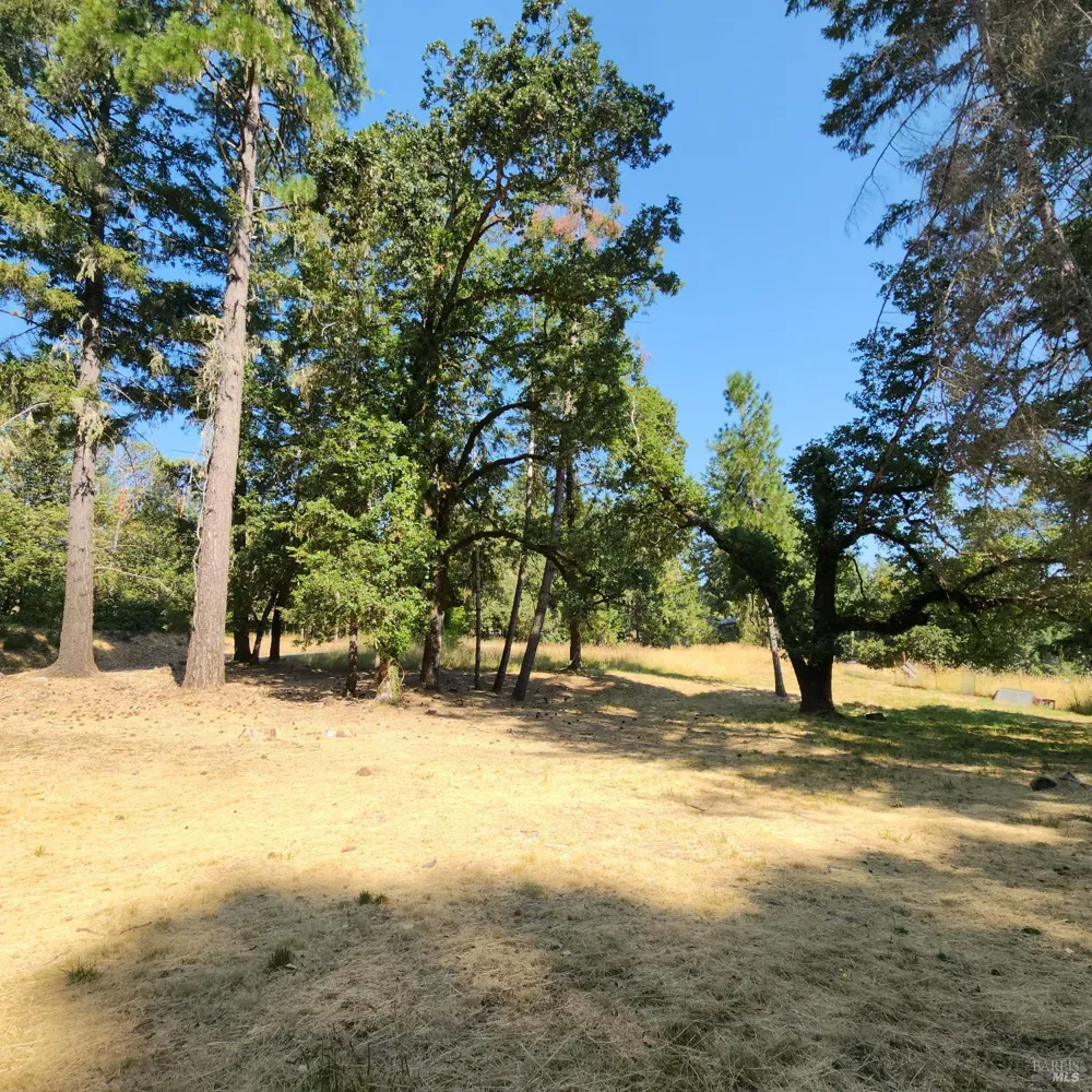 25331 Sherwood Road Willits, CA 95490