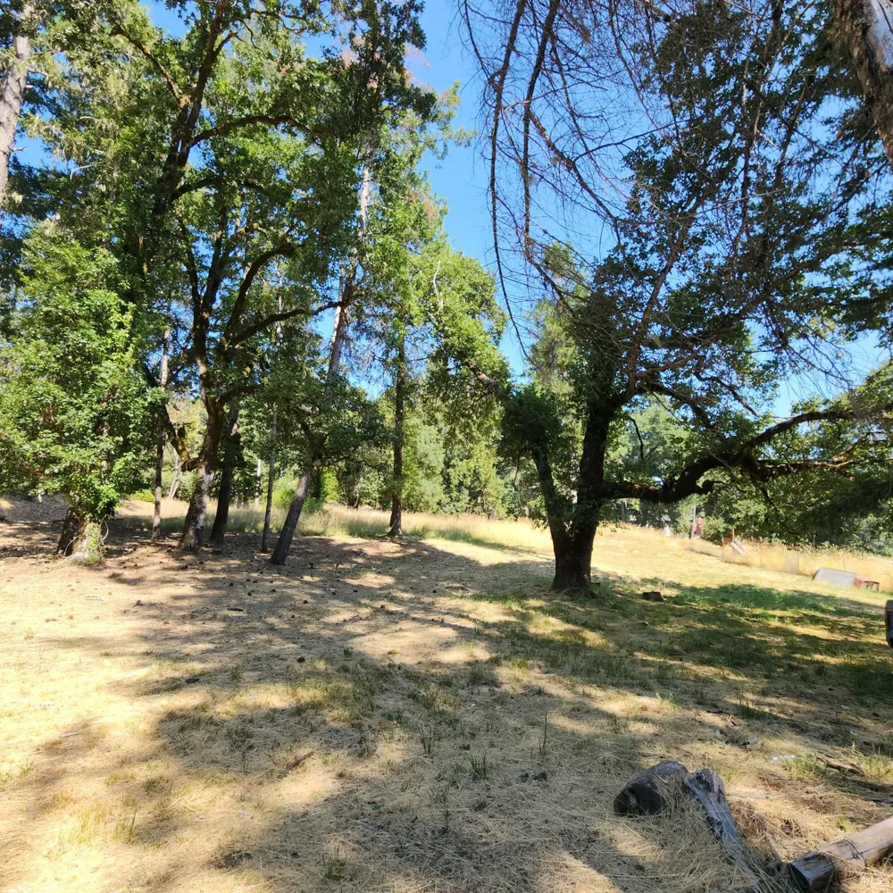 25331 Sherwood Road Willits, CA 95490