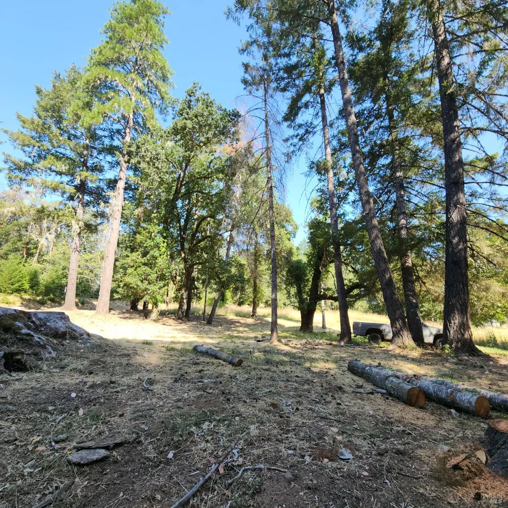 25331 Sherwood Road Willits, CA 95490