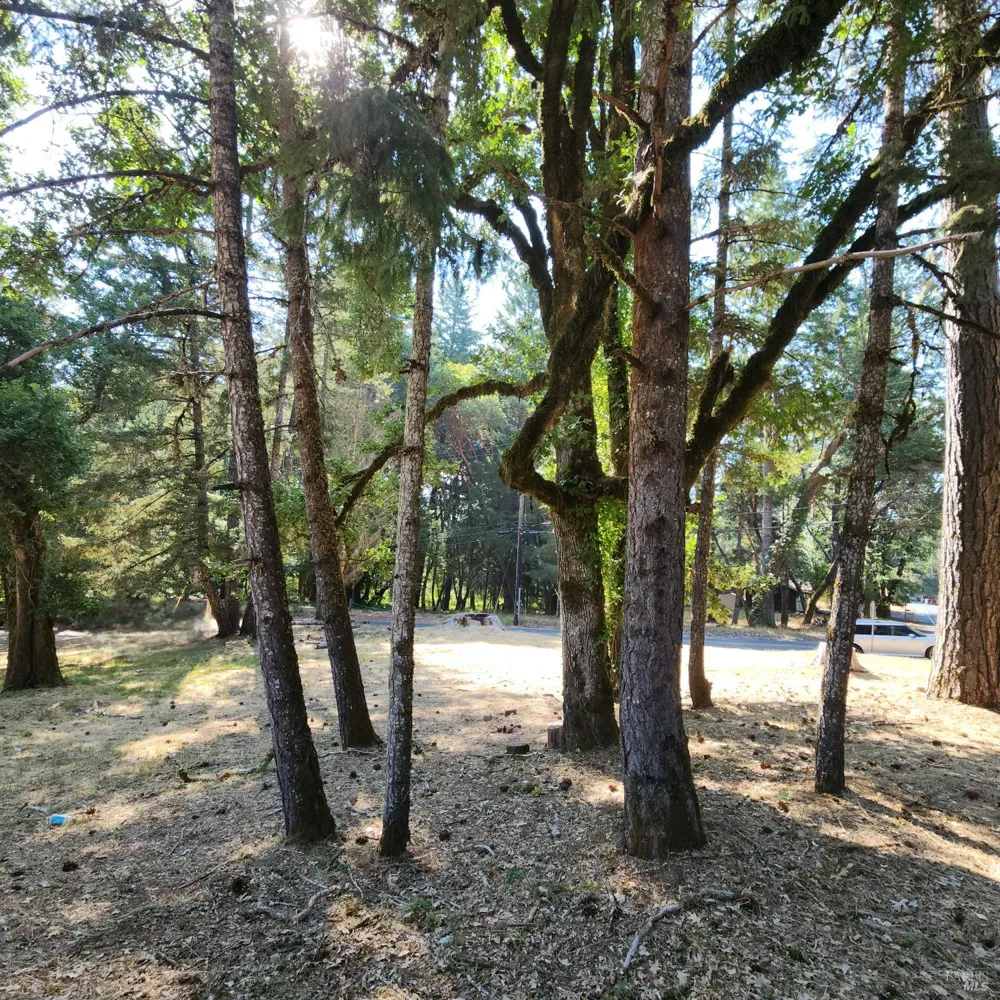 25331 Sherwood Road Willits, CA 95490