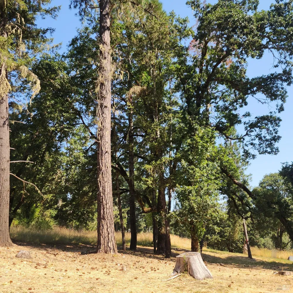 25331 Sherwood Road Willits, CA 95490