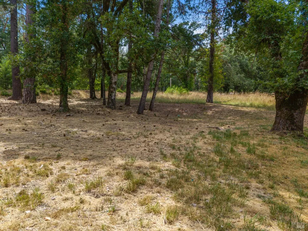 25331 Sherwood Road Willits, CA 95490