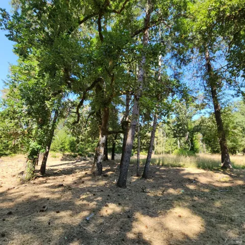 25331 Sherwood Road