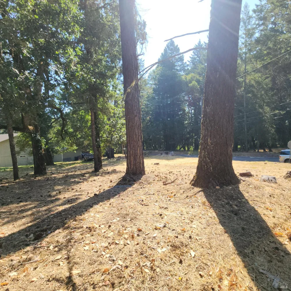 25331 Sherwood Road Willits, CA 95490