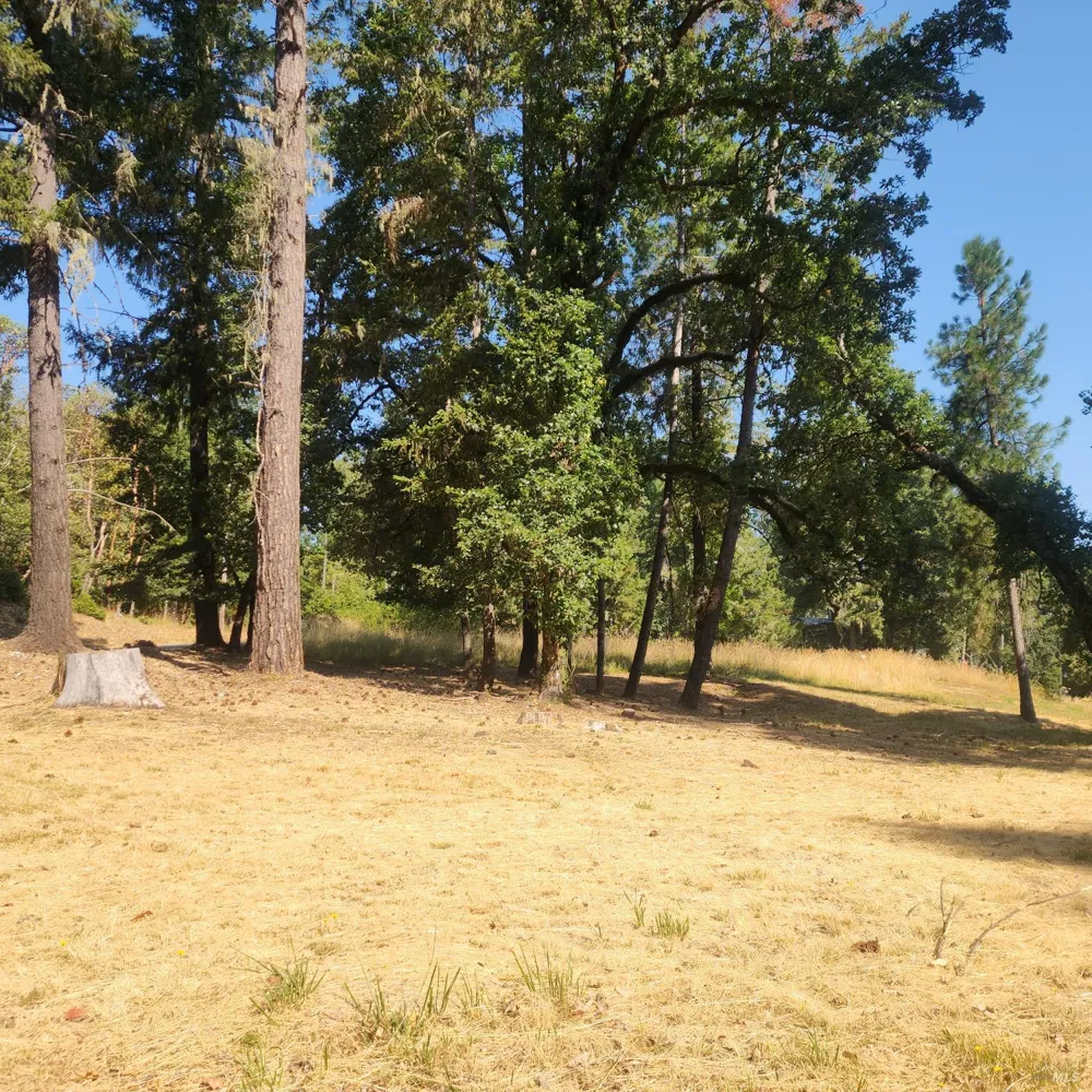 25331 Sherwood Road Willits, CA 95490
