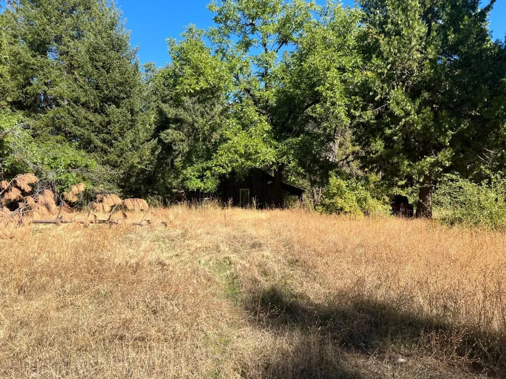 17506 Lowell Hill Road Grass Valley, CA 95945
