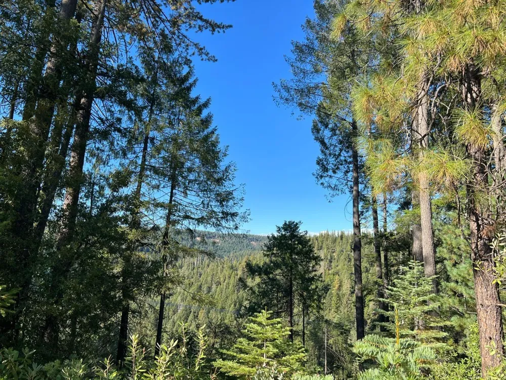 17506 Lowell Hill Road Grass Valley, CA 95945