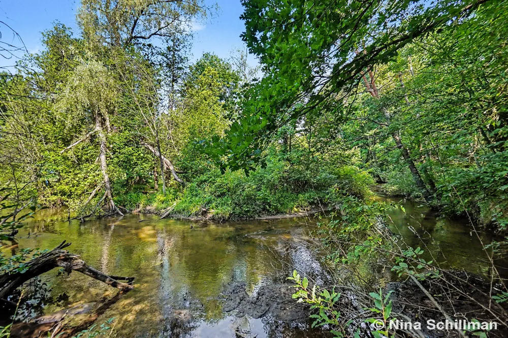 3754 E White River Hesperia, MI 49421