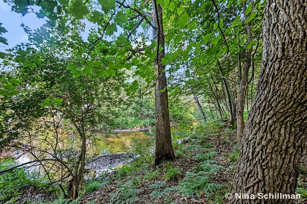 3754 E White River Hesperia, MI 49421